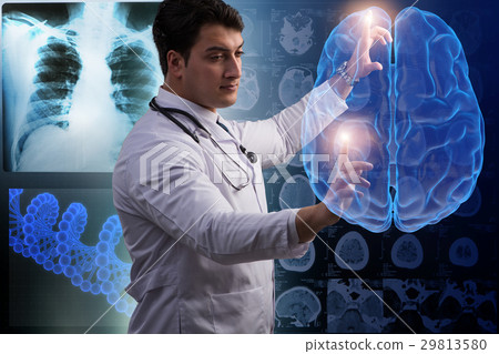 Male doctor with the brain in medical concept 29813580