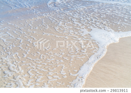 “靜岡縣”伊豆白濱海岸的美麗的海濱 29813911