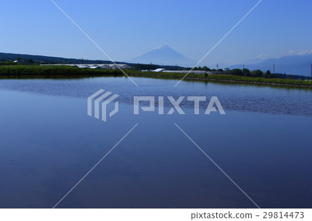 在種植水稻之前從富士見鎮稻田的農業區觀看富士山 在種植水稻之前從富士見鎮稻田的農業區觀看富士山 29814473