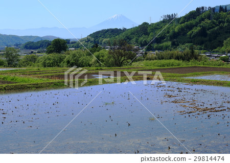 從北斗市的北陸坂觀看富士山 29814474