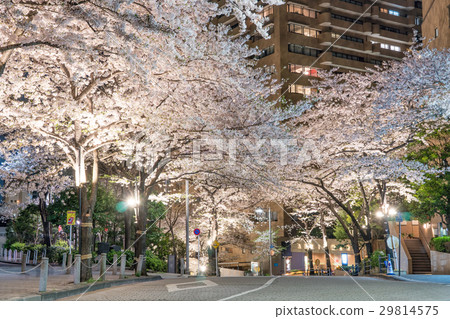 Japanese spring urban landscape of Tokyo [night view of Roppongi Arc Hills] 29814575
