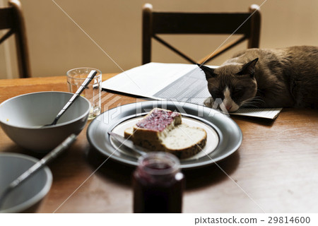 Eatery Breakfast Morning Meal Prepare 29814600