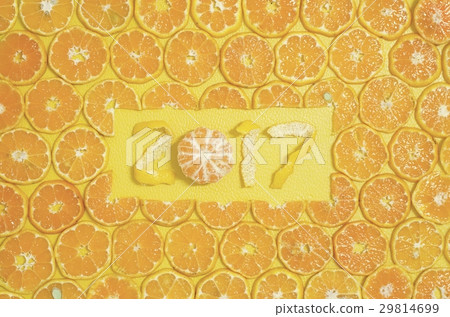 Round Orange Slices Fruit 2017 xmas 29814699