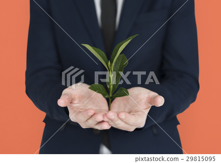 Caucasian Business Man Holding Seedling Caucasian Business Man Holding Seedling 29815095