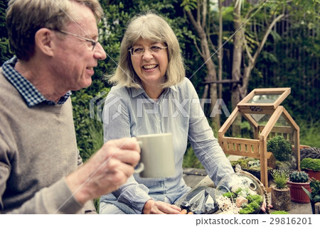 Tea Time Leisure Relax Enjoy 29816201