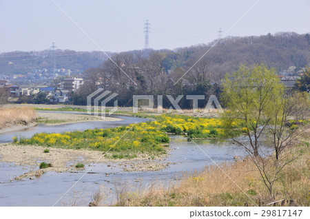 東京郊區八王子淺川 東京郊區八王子淺川 29817147
