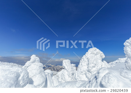 Yamagata Zao _ Sunny and the Ice-ice Group 29820439