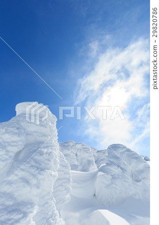 Yamagata Zao _ sun and ice rake group 29820786