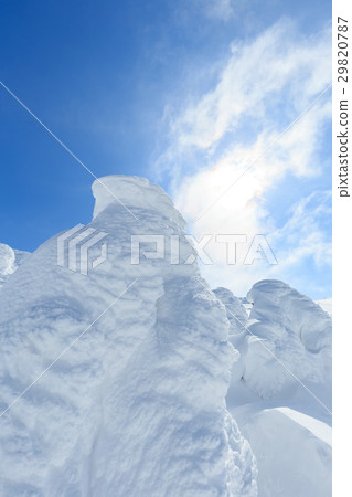 Yamagata Zao _ sun and ice rake group 29820787