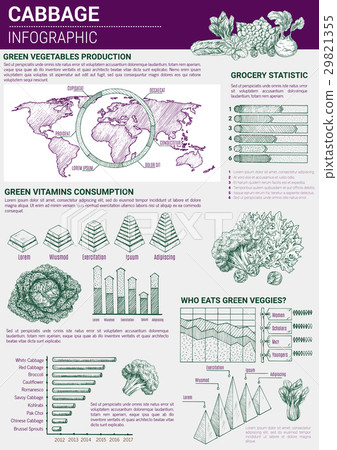 Vector infographic cabbage vegetable products 29821355