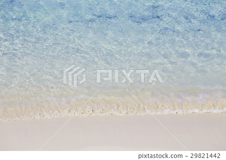 Beautiful beach 29821442