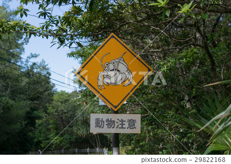 Sign of Ogasawara animals attention (Okayadokari) 29822168