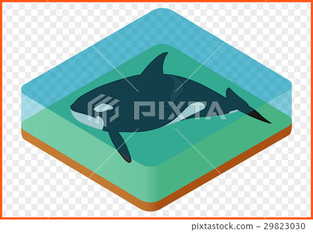 killer whale vector killer whale vector 29823030