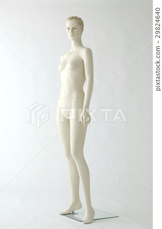 Mannequin nude whole body synthetic material Mannequin nude whole body synthetic material 29824640