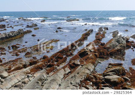 Hiraiso Coast白堊紀地層 29825364