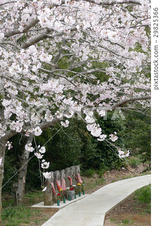 Rokuzo存儲Niizu寺 Rokuzo存儲Niizu寺 29825366