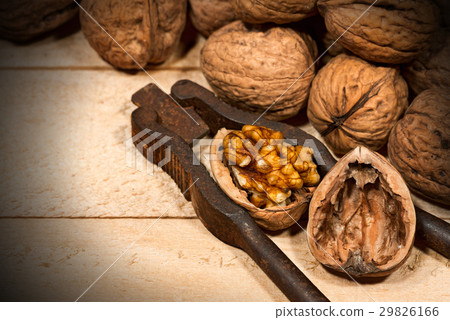 Walnuts with Old Nutcracker 29826166