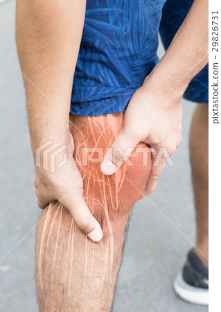 Knee muscle pain Knee muscle pain 29826731