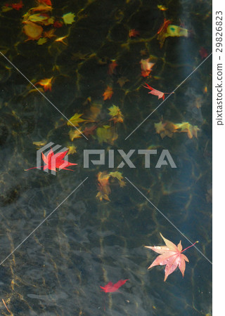 The end of autumn The end of autumn 29826823
