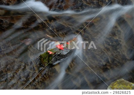 Coloring mountain stream Coloring mountain stream 29826825