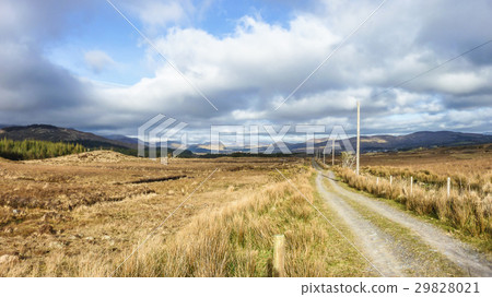 Single track road through the mountains of Kerry Single track road through the mountains of Kerry 29828021