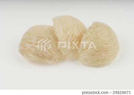 Fresh edible bird's nest on white paper 29828671