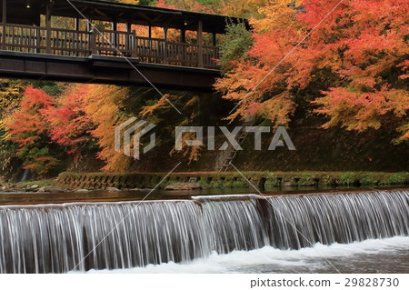 Hot Spring Kurokawa Onsen Autumn 29828730