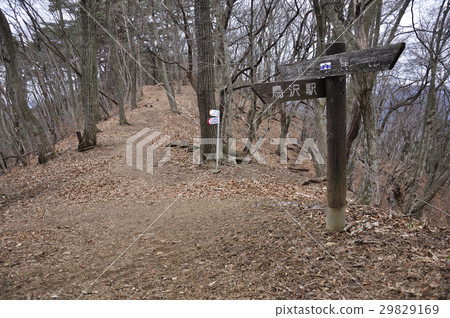 Koru Ogi Okubo 29829169