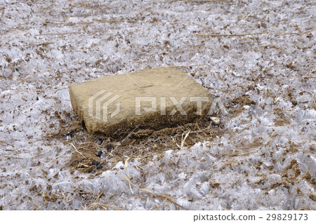 Ogi山峰的三角點 29829173