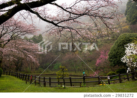 Mountain of spring Mountain of spring 29831272