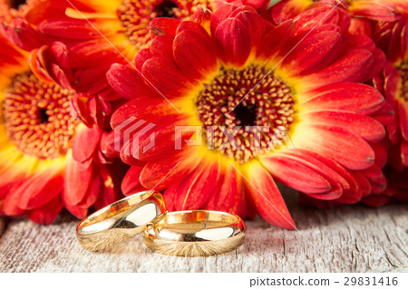 Wedding rings with beautiful gerberas 29831416