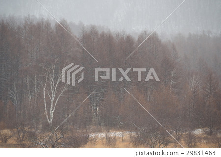 Odashirogagara Takahito在初冬 Odashirogagara Takahito在初冬 29831463