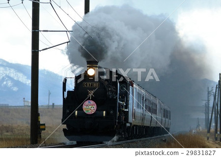 locomotive, train, trains 29831827