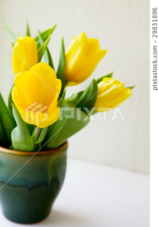 Bunch of yellow tulips in ceramic vase on a window 29831896