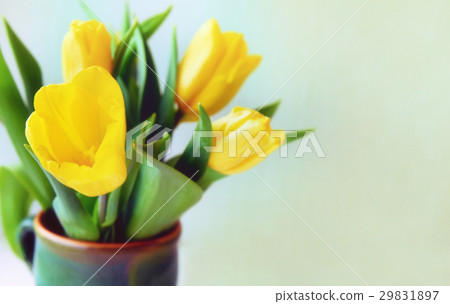 Bunch of yellow tulips in ceramic vase on a window 29831897