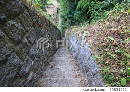愛媛縣今治市小島北樓梯到破裂頭塔的痕跡 29831912