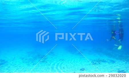 Observation of tropical fish with underwater photographs by Watarashi Tokihisa Beach parent and child of Okinawa Tokashikijima 29832020