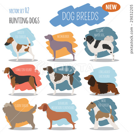 Hunting dog breeds set icon isolated on white Hunting dog breeds set icon isolated on white 29832205