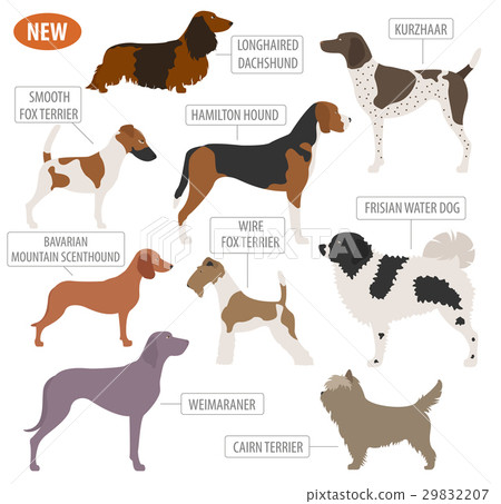 Hunting dog breeds set icon isolated on white Hunting dog breeds set icon isolated on white 29832207