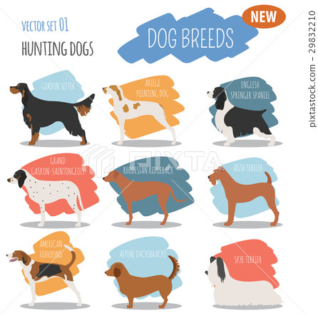 Hunting dog breeds set icon isolated on white Hunting dog breeds set icon isolated on white 29832210