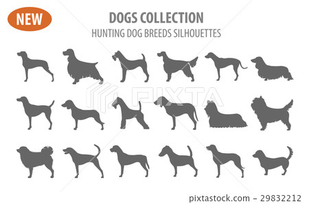 Hunting dog breeds set icon isolated on white Hunting dog breeds set icon isolated on white 29832212