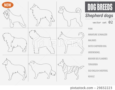 Shepherd dog breeds, sheepdogs set icon isolated  29832223