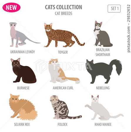 Cat breeds icon set flat style isolated on white 29832652