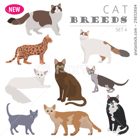 Cat breeds icon set flat style isolated on white Cat breeds icon set flat style isolated on white 29832684