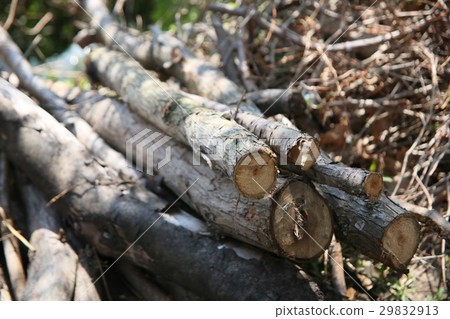 Firewood Firewood 29832913