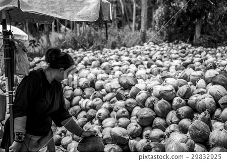 Koh Phangan thailand 28.09.2015 - local workers 29832925