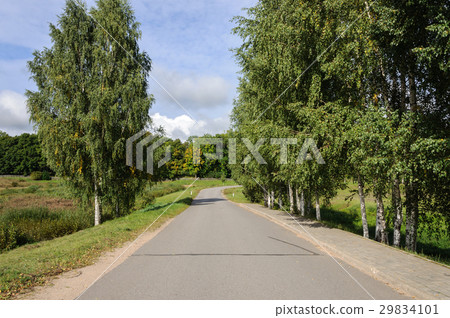 Asphalt road in the country 29834101