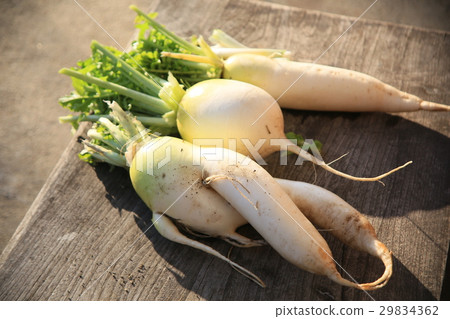 Various radishes Various radishes 29834362
