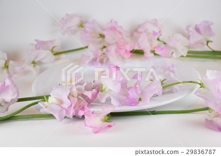 Flowers and dishes 29836787