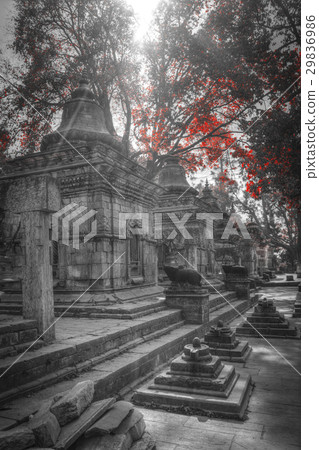 Pashupatinath Temple 29836986